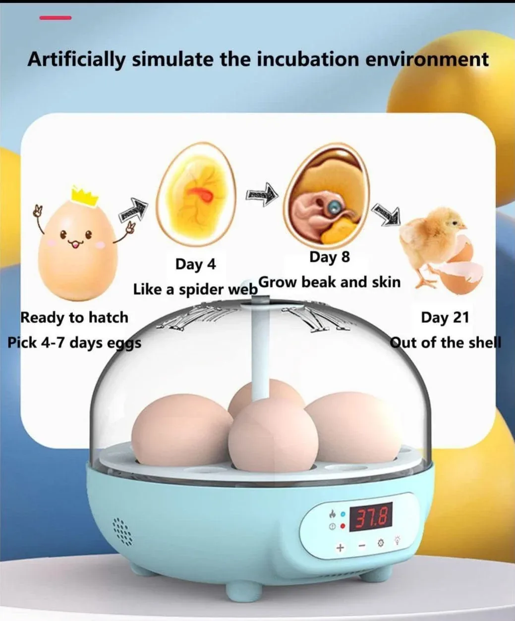 06 Chicken Eggs , 25 Birds Eggs New Intelligent Automatic Egg Incubator 60Watt 220V