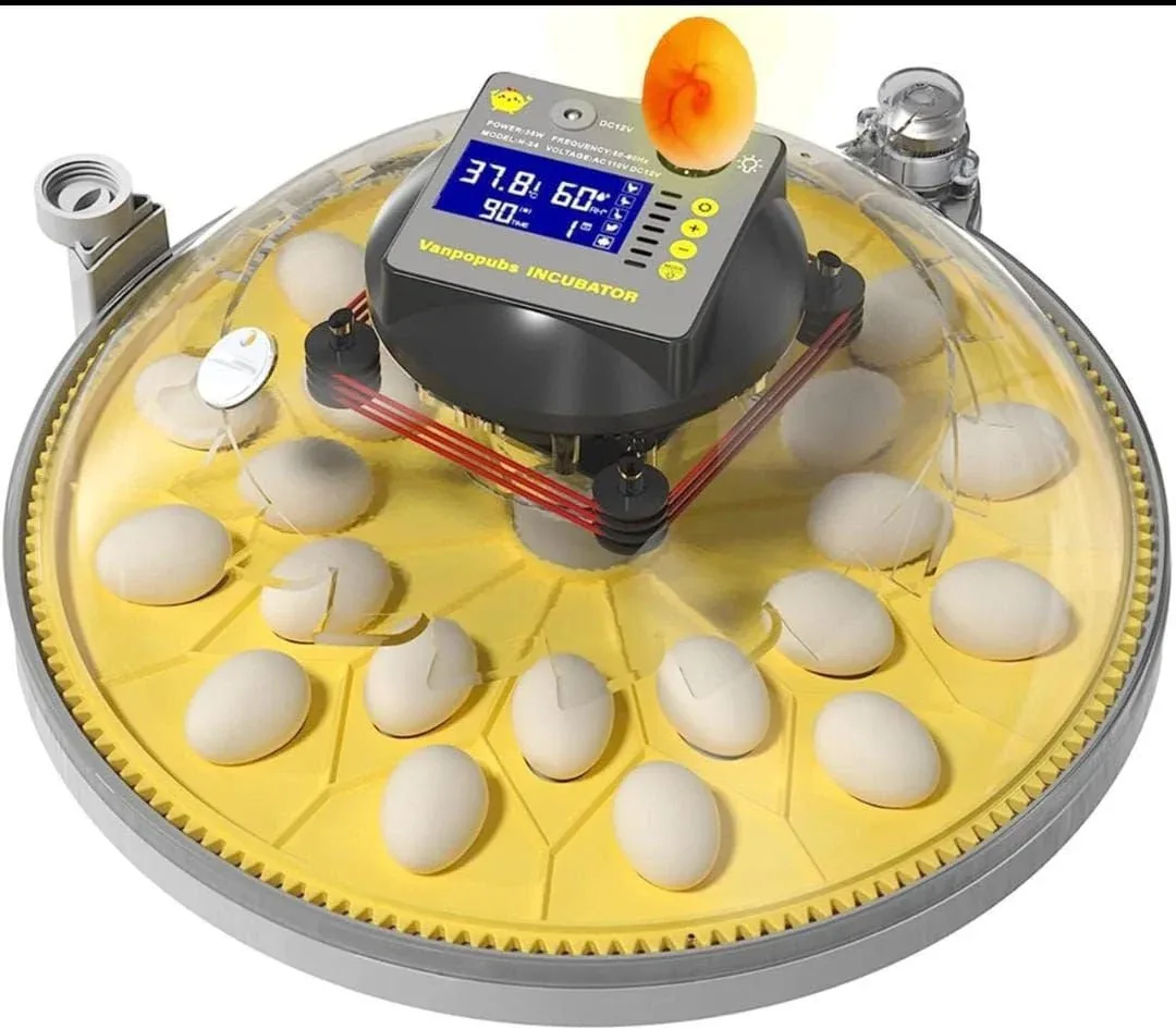 Jiatai Brand Dual Power 50 Chicken Eggs Fully Automatic with Ultrasonic Jiatai Brand Dual Power 50 Chicken Eggs Fully Automatic with Ultrasonic Humidity Fire upgraded Model Fire upgraded Model