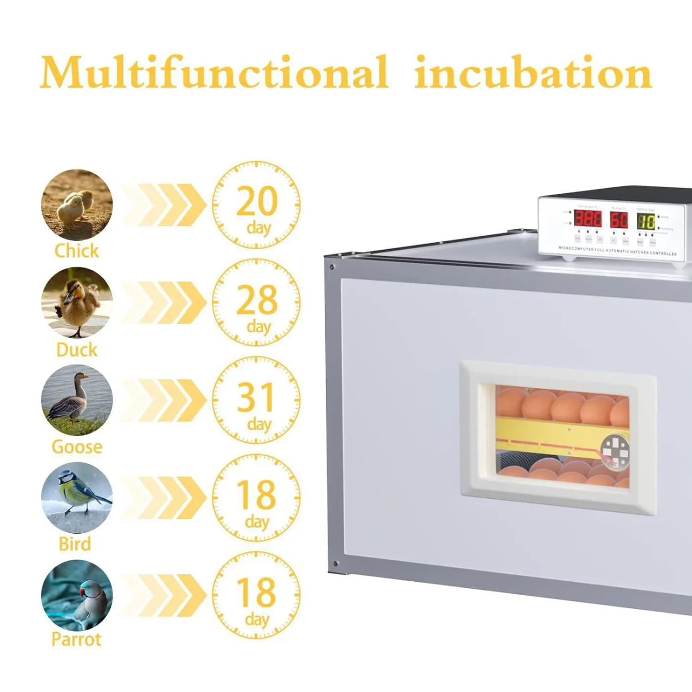 260 Eggs Dual Power AC DC Commercial industrial Incubator K-2 Controller