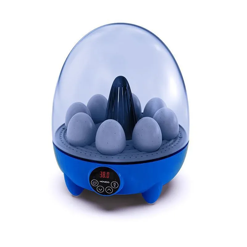 08 Eggs Full Automatic HHD 2024 Model