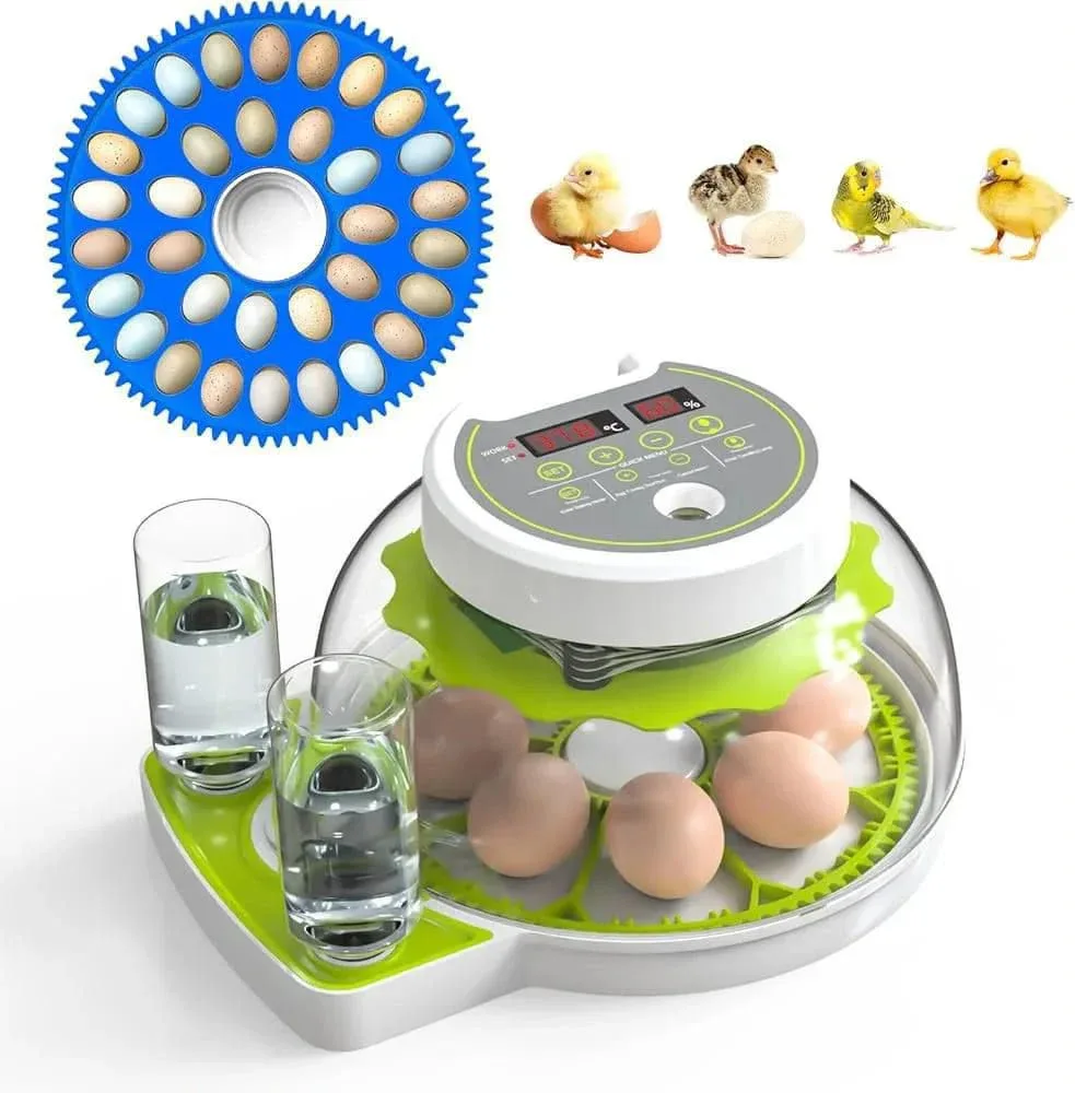 18 Chicken Eggs , 60 Smal Birss ( 2+1 ) Dual power AC DC 2024 with Auto Refil Water system Weiqian Intelligent Gareen &Yellow Colour