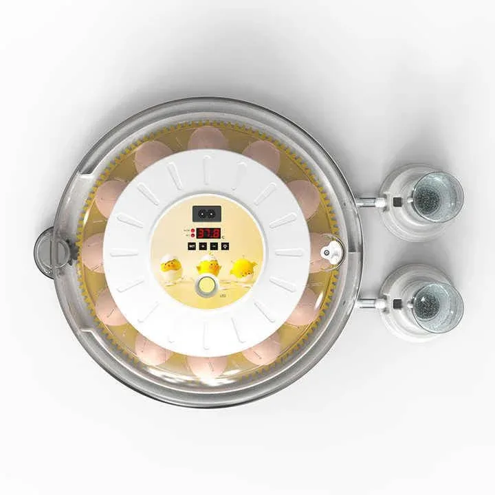 08 Eggs Fully Automatic Smart Egg Incubator Original Imported MEUIOSD® | AI Smart Incubation | Exclusively Available at EggsPert Solutions®