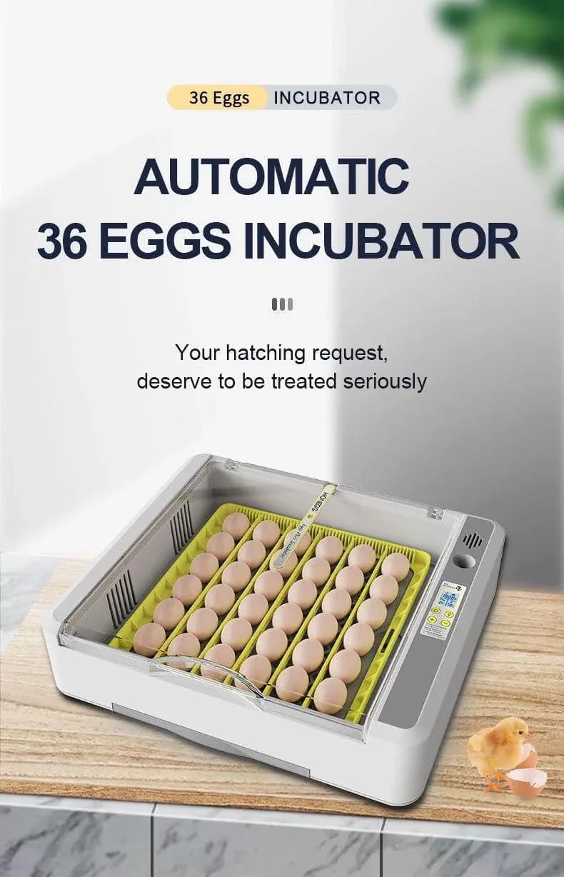 36 Eggs HHD (Wonegg) Fully Automatic Egg Incubator – 2026 Upgrade Model